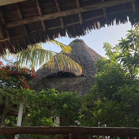 Pasa Lodge Zanzibar Nungwi Εξωτερικό φωτογραφία