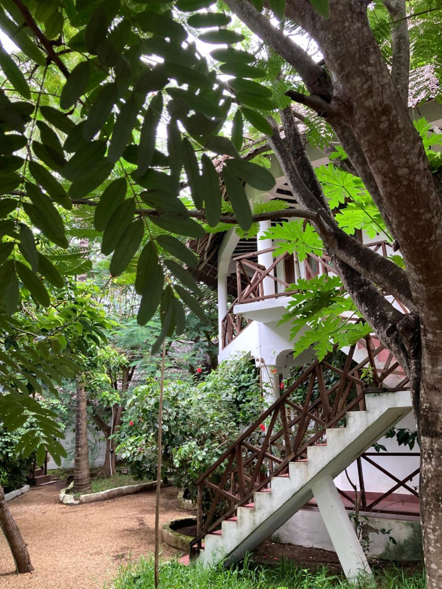 Pasa Lodge Zanzibar Nungwi Εξωτερικό φωτογραφία